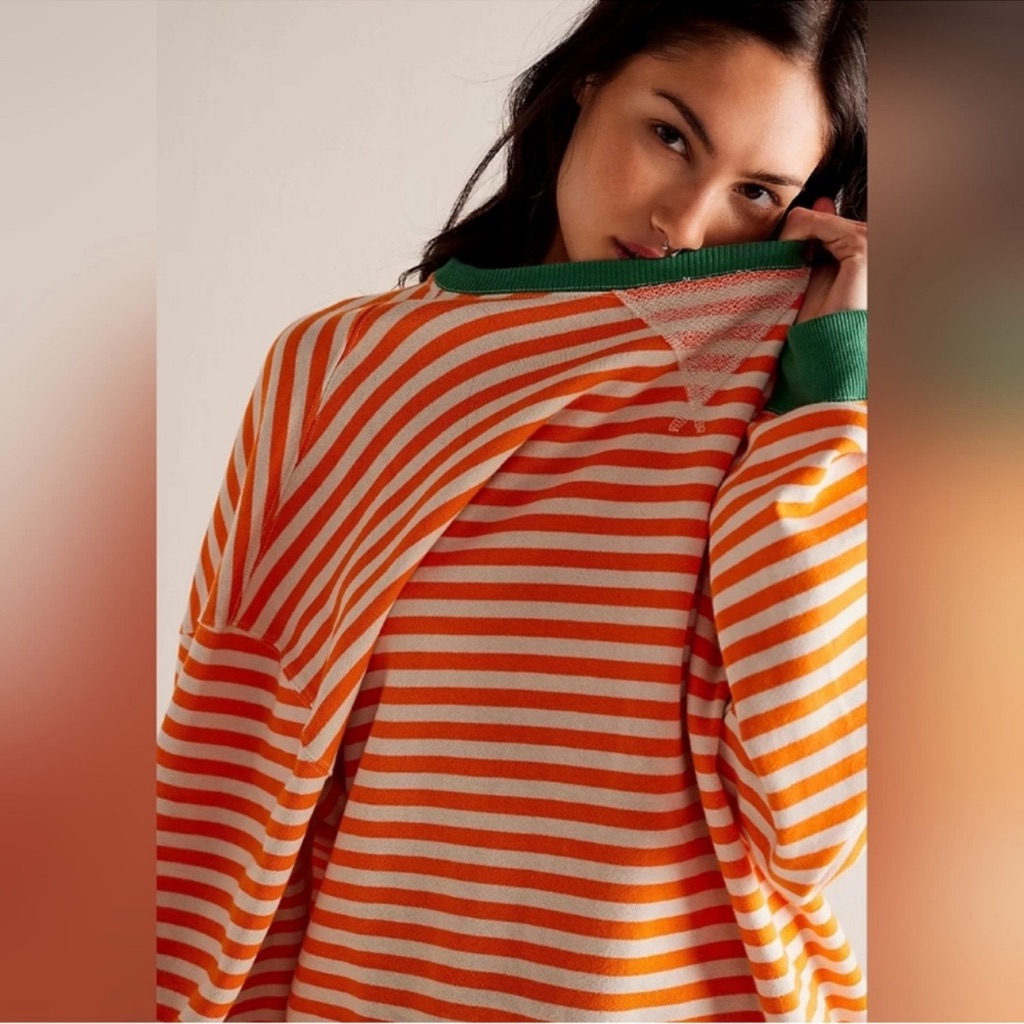 Free People We The Free Viral Classic Striped Crewneck Pullover Sweatshirt